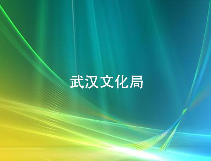 武汉文化局