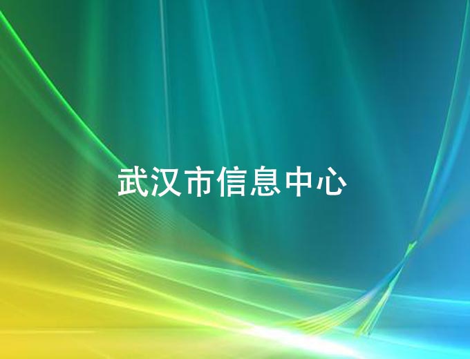 武汉市信息中心